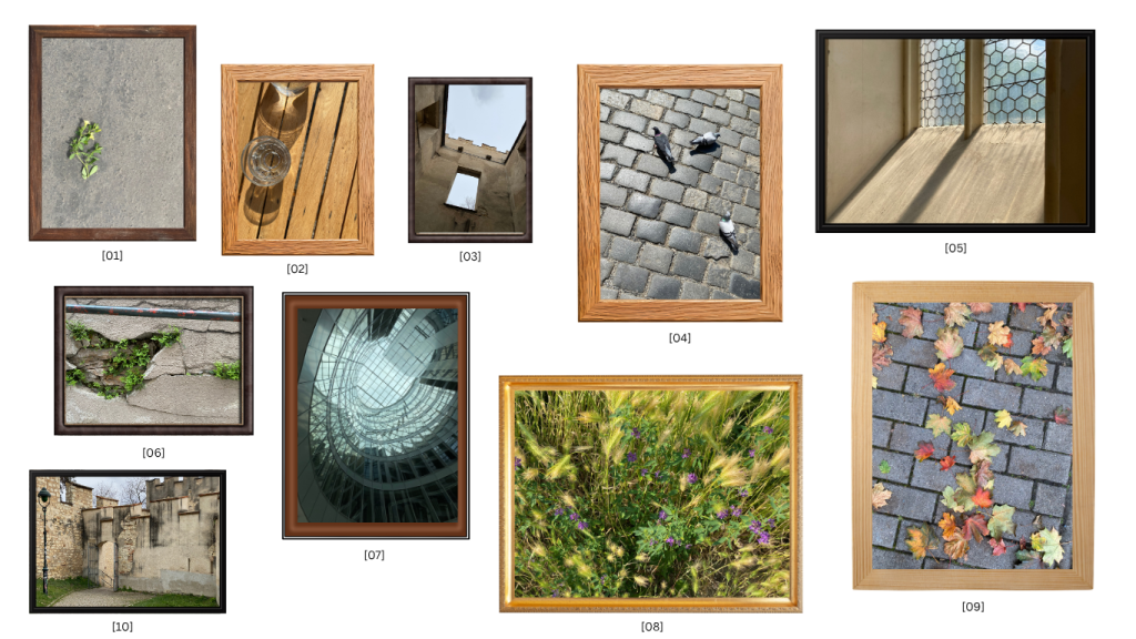 Prodej obrazy obrazy prodej galerie 1