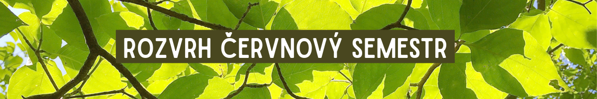 Home rozvrh červnový semestr